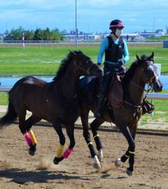 Loose ponying 2021