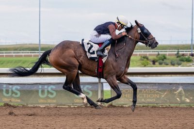 Beyond Expectations: The Buffalo Stable and Loveaboveandbeyond