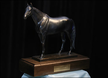 Cam Fella Award
