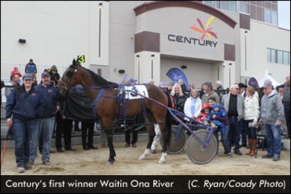 Harness Racing Returns To Calgary
