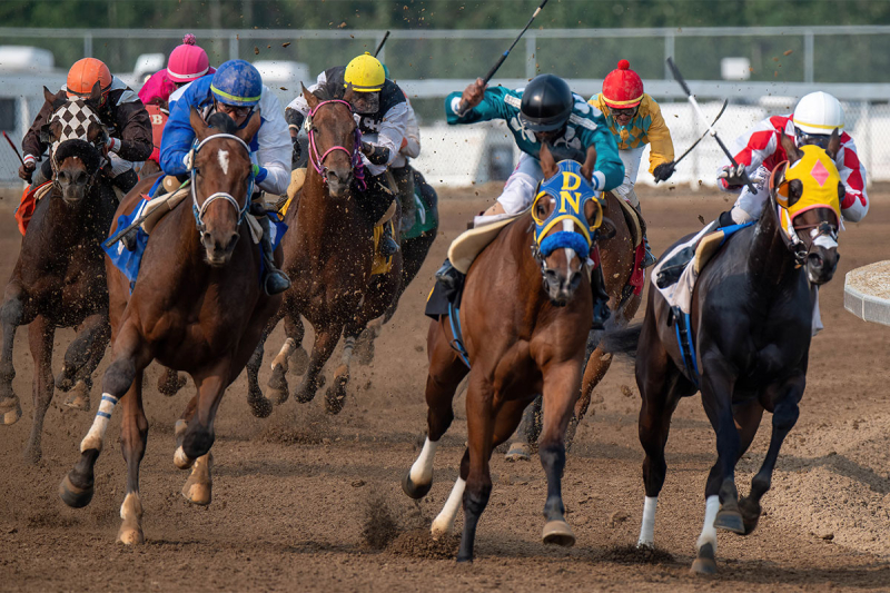 Trainer Hedge Breathes Easier After Big Hug’s Gritty Win; Perez, Apprehend Make Magic in Record-Breaking Return