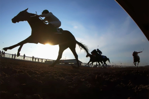 Groom Dennis Sexton honoured with Backstretch Appreciation Award