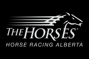 Licensing Clerk Position - Century Mile