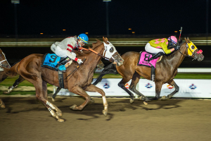 Real Grace leading the pack at Century Mile in the 91st Canadian Derby on Sunday