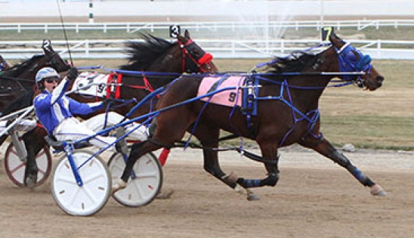 Fire Watch wins the Alberta Super Final
