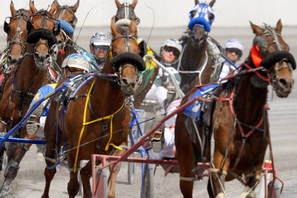 Exciting Start to the Season at Century Mile: Kioti's Phenomenal Rise and High Hopes for the Future