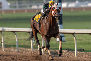 Smart as Me (Prescod, N'Rico) in the stretch run of the Century Mile Handicap (Black Type) on July 22, 2023