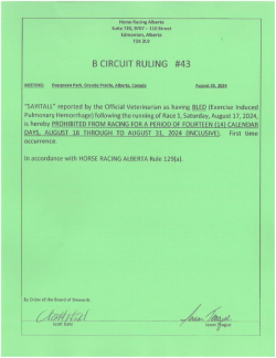 Ruling B043-2024