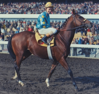 Celebrate Canadian racing at Northlands Park opening weekend