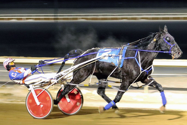 Sunshine Boy and Brandon Campbell winning the WCPD on Sunday at Century Mile