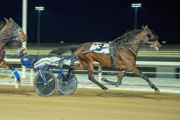 Divine Art and Nathan Sobey at the wire
