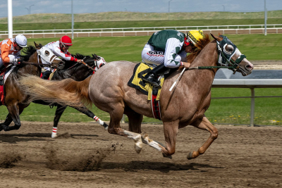 Epic Showdown on the Horizon: Top Quarter Horses Prepare for Clash Under Legendary Trainer Leech