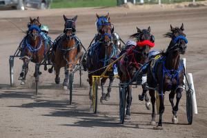 Split Second Fall, Photo Finish Redemption: Sobey’s Wild Week at Century Downs
