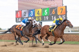 Brown on a hot streak, winning three of last six races