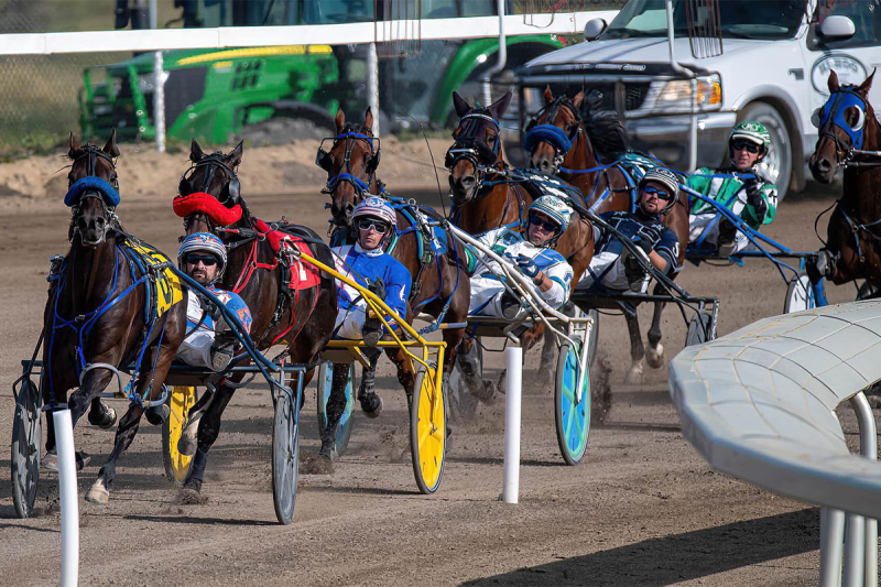 Alberta Horse Racing Veteran Jackson Wittup Rides High with Two Star Pacers, Custard Dolce and Momas Work of Art