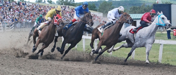 Millarville Race Meet Wrap-up
