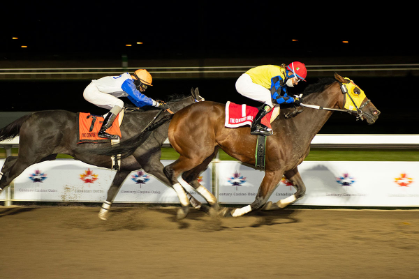 Trooper John at the wire in the Century Mile Stake