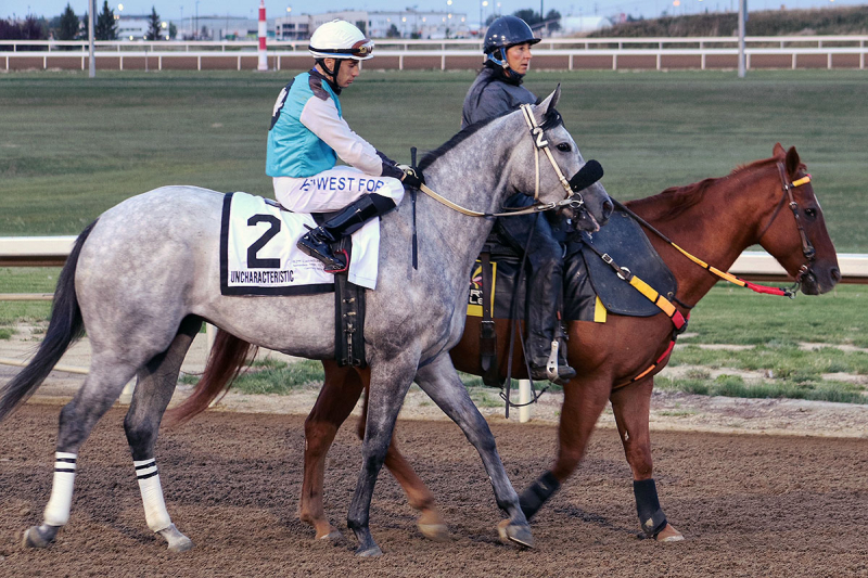 Alex Marti and Uncharacteristic in the parade to post of the 2021 Canadian Derby